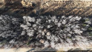 Parcel B Parameter Road, Deer River, MN 56636