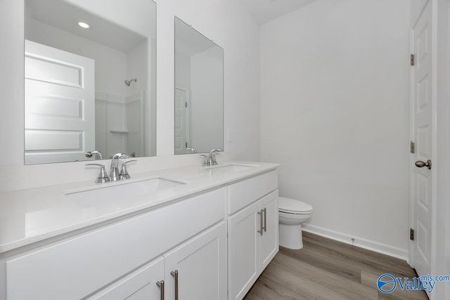 29672 Gallows Cove, Harvest, AL 35749