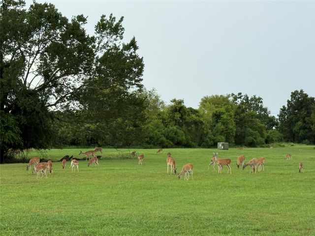 302 Lakeland Circle, Rosharon, TX 77583