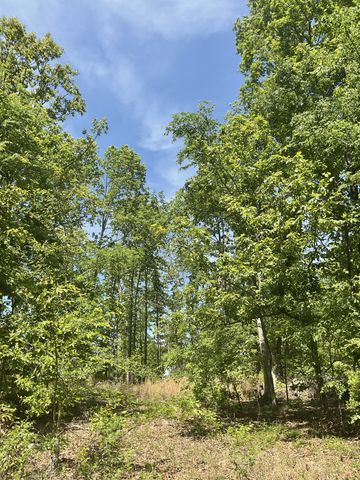 0 Saddleback Drive, Dover, TN 37058