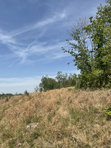 0 Saddleback Drive, Dover, TN 37058