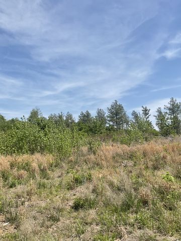 0 Saddleback Drive, Dover, TN 37058