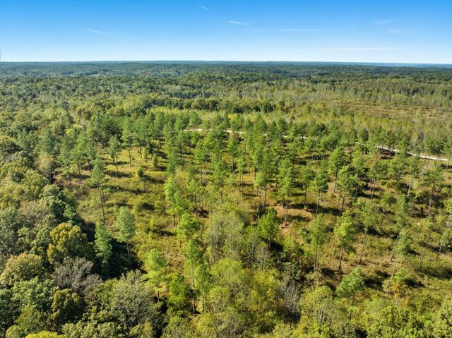 0 Saddleback Drive, Dover, TN 37058