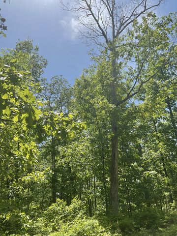 0 Saddleback Drive, Dover, TN 37058