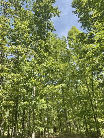 0 Saddleback Drive, Dover, TN 37058