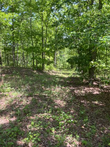 0 Saddleback Drive, Dover, TN 37058