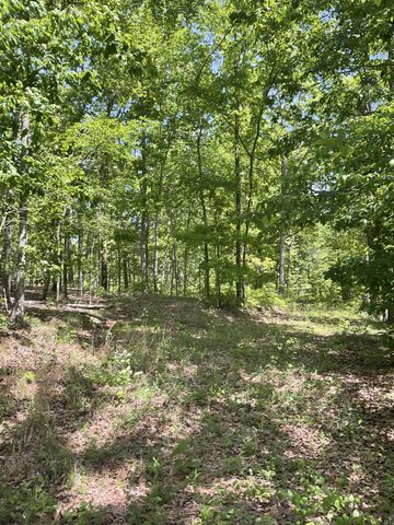 0 Saddleback Drive, Dover, TN 37058