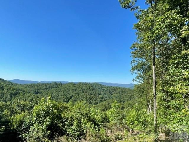 1300 Towery Trace, Ellenboro, NC 28040