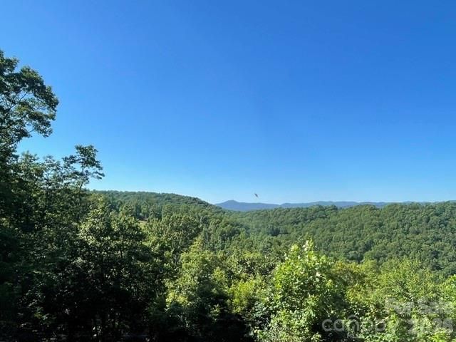 1300 Towery Trace, Ellenboro, NC 28040