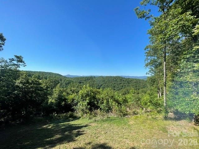 1300 Towery Trace, Ellenboro, NC 28040