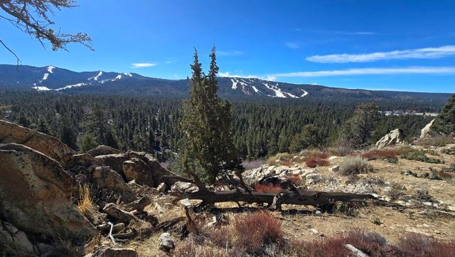 42535 Pegasus Way, Big Bear, CA 92315