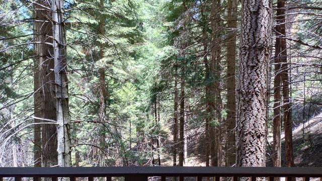 54706 Cedar Drive, Sequoia Crest, CA 93265