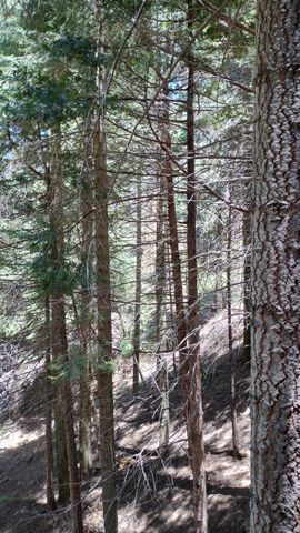 54706 Cedar Drive, Sequoia Crest, CA 93265