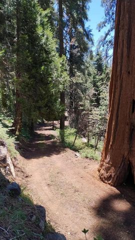 54706 Cedar Drive, Sequoia Crest, CA 93265