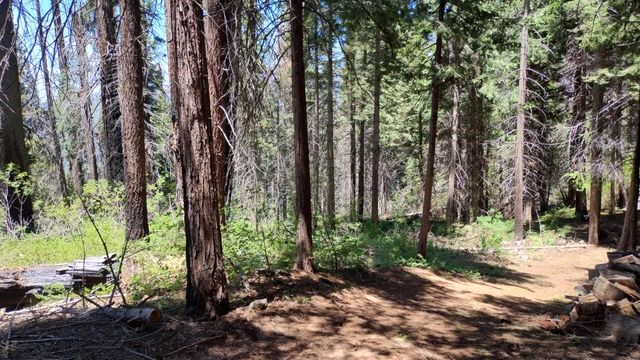 54706 Cedar Drive, Sequoia Crest, CA 93265