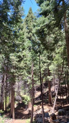 54706 Cedar Drive, Sequoia Crest, CA 93265