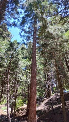 54706 Cedar Drive, Sequoia Crest, CA 93265