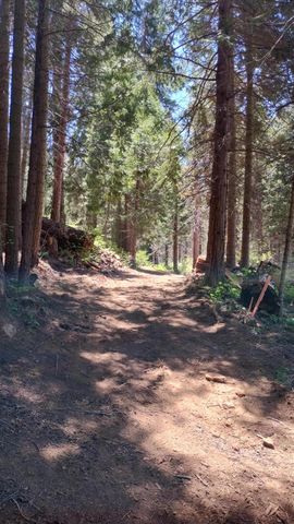 54706 Cedar Drive, Sequoia Crest, CA 93265