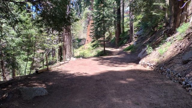 54706 Cedar Drive, Sequoia Crest, CA 93265