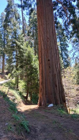 54706 Cedar Drive, Sequoia Crest, CA 93265