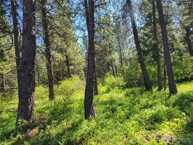 7 Summit View at Wallace Ranch, Cle Elum, WA 98922