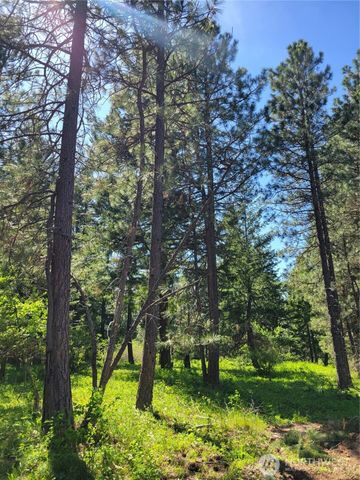 7 Summit View at Wallace Ranch, Cle Elum, WA 98922