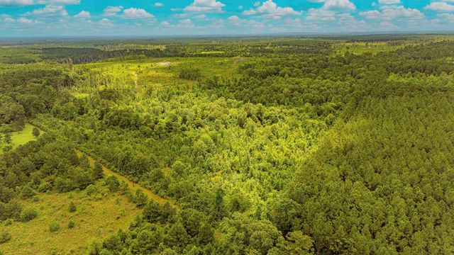 TBD County Road 2178, Cleveland, TX 77327