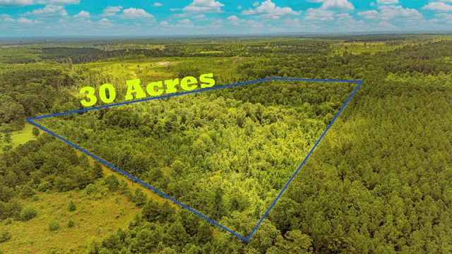 TBD County Road 2178, Cleveland, TX 77327