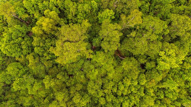 TBD County Road 2178, Cleveland, TX 77327