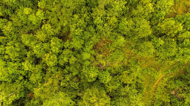 TBD County Road 2178, Cleveland, TX 77327