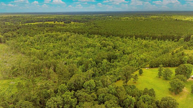 TBD County Road 2178, Cleveland, TX 77327