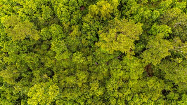 TBD County Road 2178, Cleveland, TX 77327