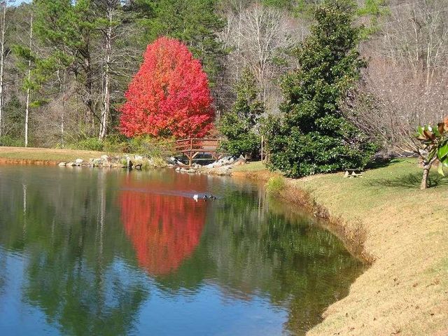 1466 NEWPORT Drive, Ellijay, GA 30540