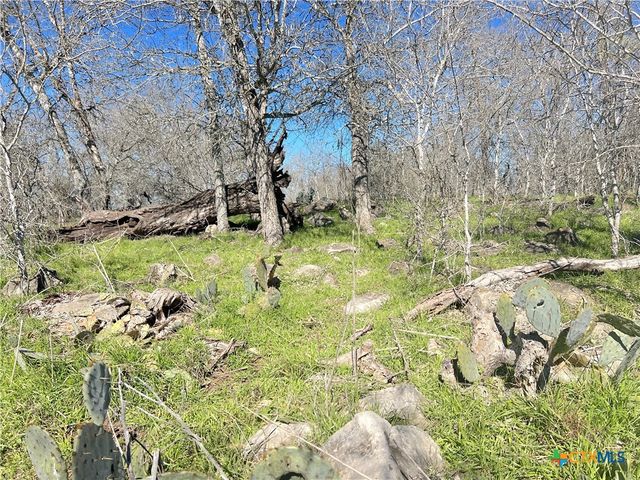 5912 Tenney Creek Road, Luling, TX 78648