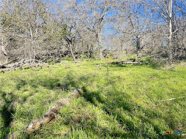 5912 Tenney Creek Road, Luling, TX 78648