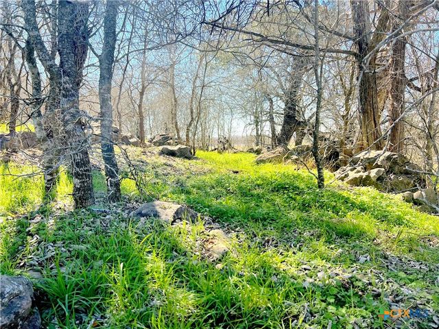 5912 Tenney Creek Road, Luling, TX 78648