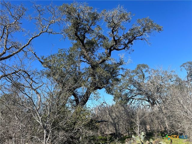 5912 Tenney Creek Road, Luling, TX 78648
