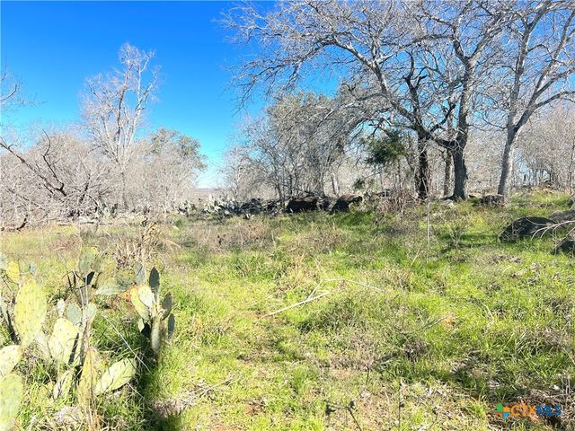5912 Tenney Creek Road, Luling, TX 78648