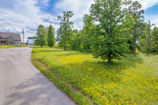 0 Wyshema Court, Mount Pleasant, TN 38474