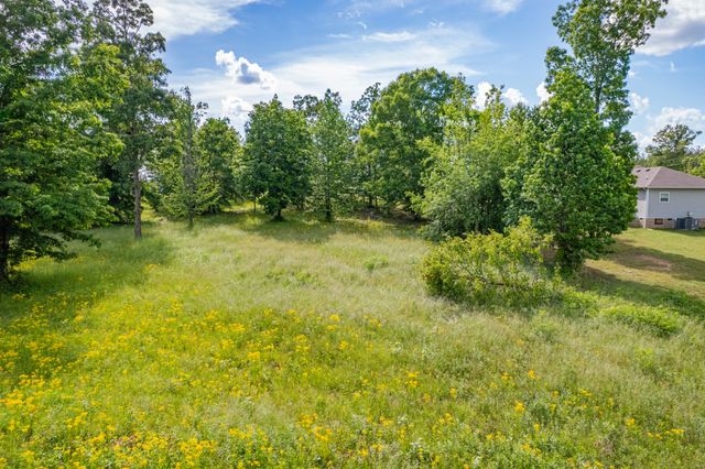 0 Wyshema Court, Mount Pleasant, TN 38474