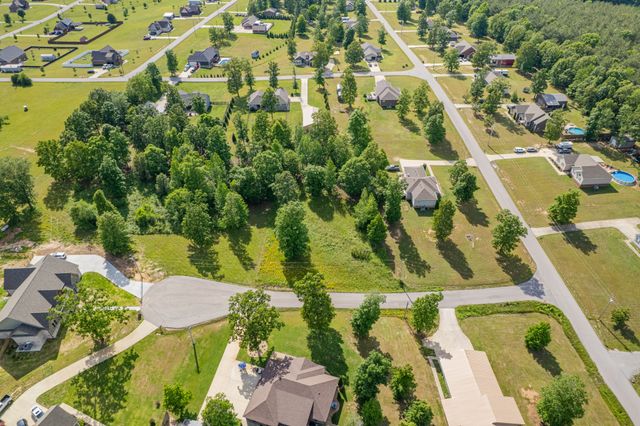 0 Wyshema Court, Mount Pleasant, TN 38474