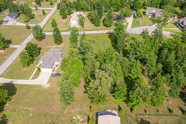0 Wyshema Court, Mount Pleasant, TN 38474