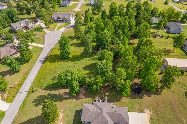 0 Wyshema Court, Mount Pleasant, TN 38474