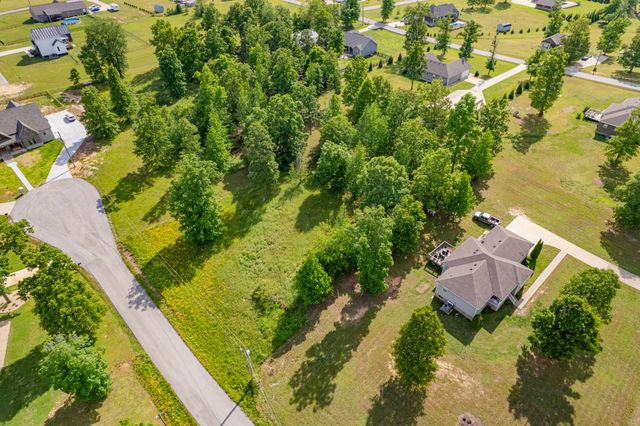 0 Wyshema Court, Mount Pleasant, TN 38474