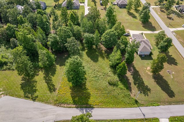 0 Wyshema Court, Mount Pleasant, TN 38474