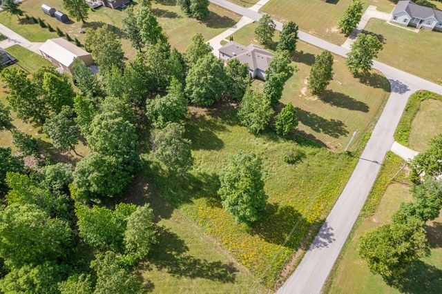 0 Wyshema Court, Mount Pleasant, TN 38474