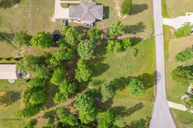 0 Wyshema Court, Mount Pleasant, TN 38474