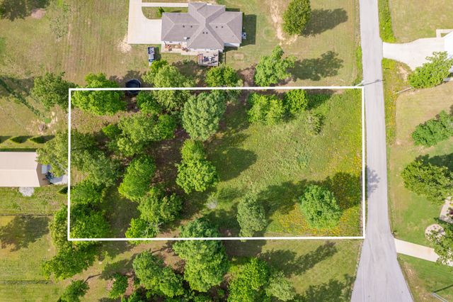 0 Wyshema Court, Mount Pleasant, TN 38474