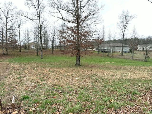 0 Wyshema Court, Mount Pleasant, TN 38474