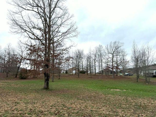 0 Wyshema Court, Mount Pleasant, TN 38474